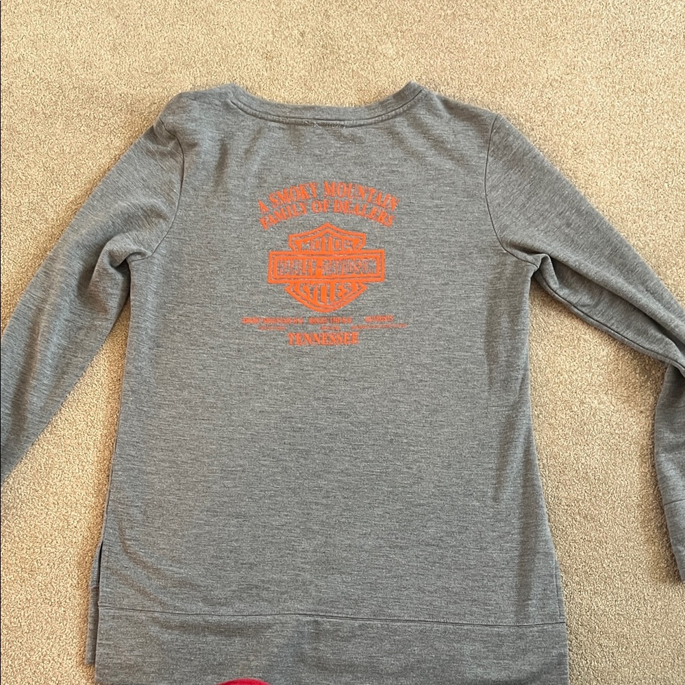Harley-Davidson Gray Sweatshirt with Colorful Logo - Picture 4 of 4